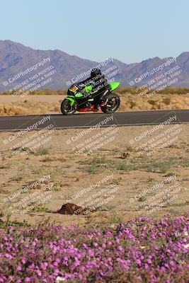 media/Jan-22-2023-CVMA (Sun) [[66d43cdebf]]/Race 17 Amateur Formula Open/